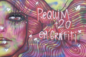 No Rio de Janeiro, exposição Pequim+20 em Graffiti marca o Dia Internacional pela Eliminação da Violência contra as Mulheres No Rio de Janeiro, exposição Pequim+20 em Graffiti marca o Dia Internacional pela Eliminação da Violência contra as Mulheres/