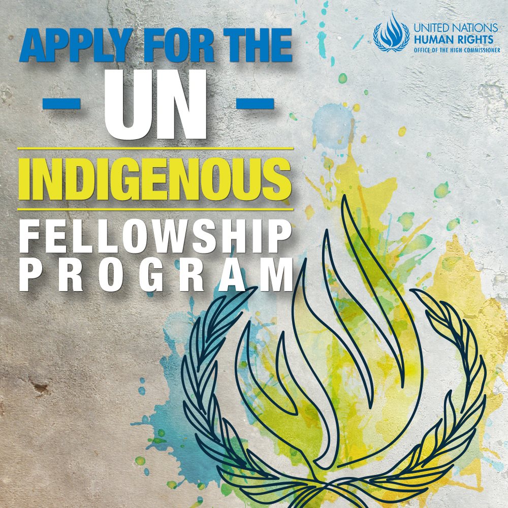 ONU abre inscrições para programa de bolsas para lideranças indígenas/