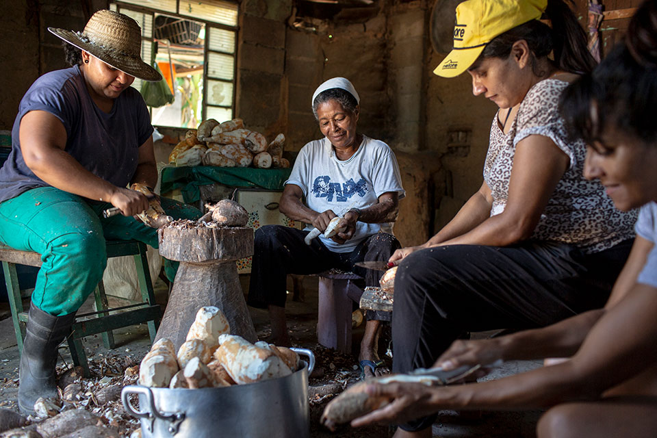 Agricultoras familiares inovam e visibilizam produção de mulheres no campo, experiência brasileira é citada em relatório internacional da ONU Mulheres/onu mulheres ods noticias igualdade de genero empoderamento economico direitos humanos direitosdasmulheres 