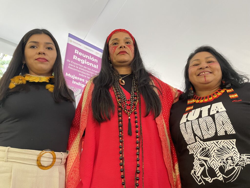 Em recente recomendação, o Comitê da ONU para Eliminação da Discriminação contra a Mulher convoca os Estados para melhor proteção dos direitos humanos de mulheres e meninas indígenas/mulheres indigenas 