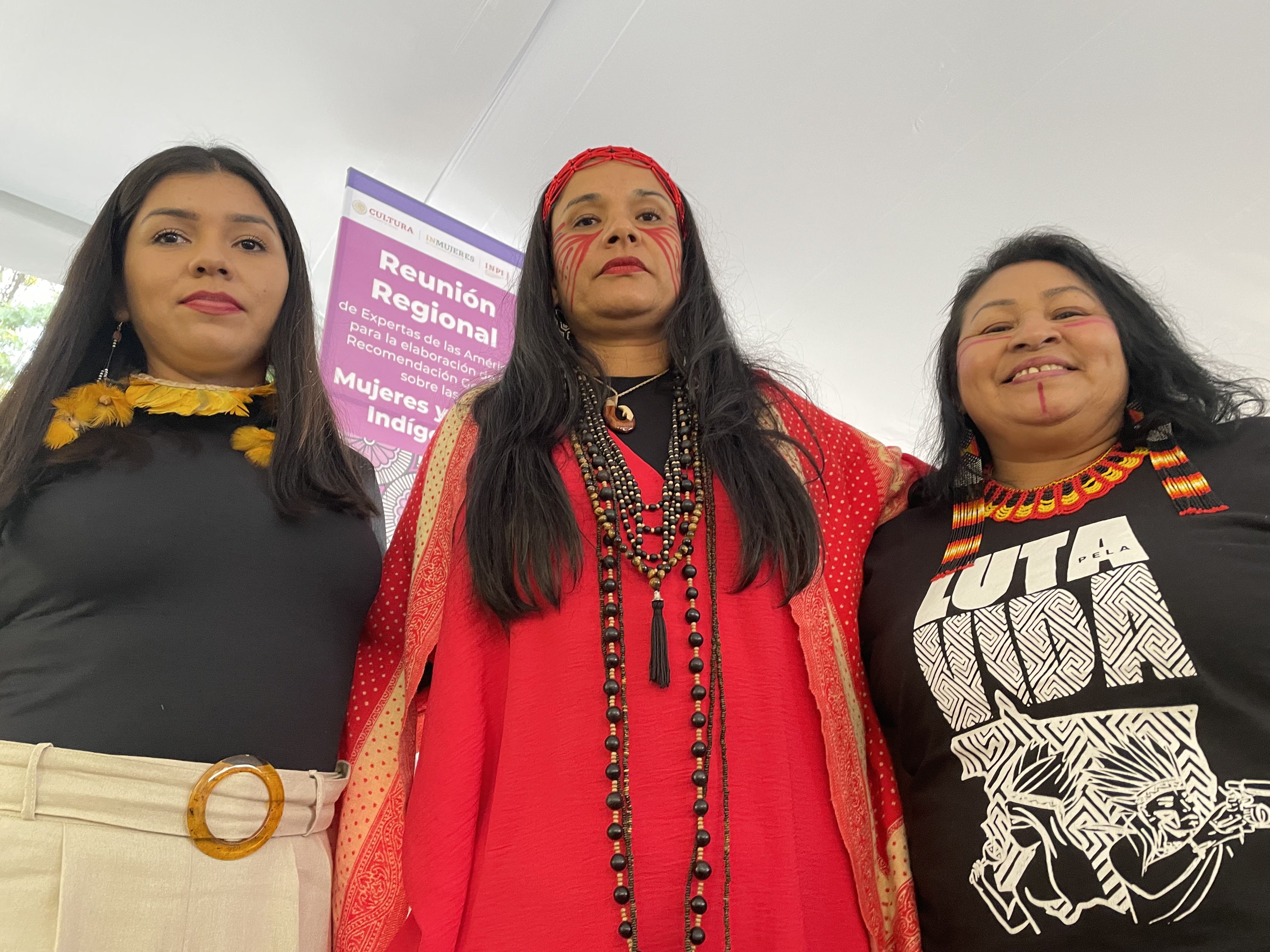 No México, lideranças indígenas brasileiras participam da elaboração de normas do Comitê da Convenção para a Eliminação de Todas as Formas de Discriminação contra a Mulher No México, lideranças indígenas brasileiras participam da elaboração de normas do Comitê da Convenção para a Eliminação de Todas as Formas de Discriminação contra a Mulher/noticias mulheres indigenas