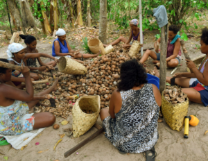 Capacitando as mulheres, protegendo a terra/sustentabilidade mulheres indigenas governanca e participacao politica direitosdasmulheres defensoras de direitos humanos 