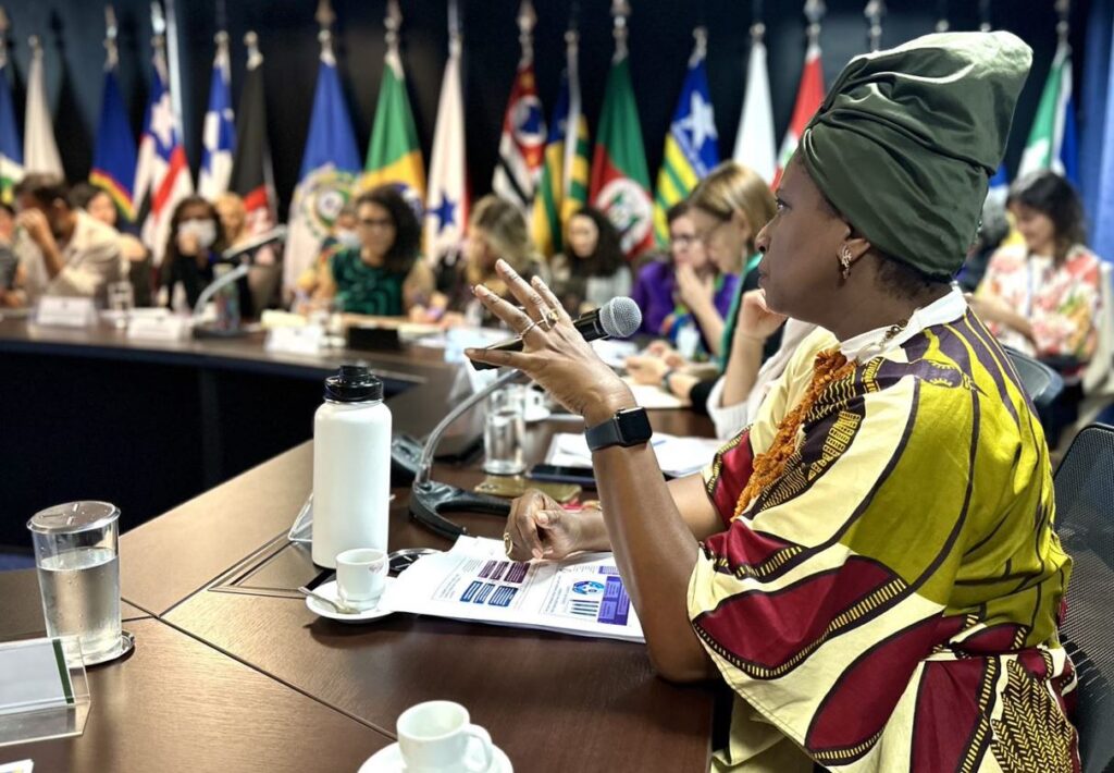 ONU Mulheres participa de marco histórico para a elaboração da política de cuidados no Brasil/ver o cuidado noticias igualdade de genero empoderamento economico 