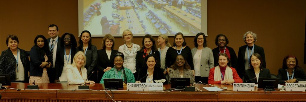 Brasil na CEDAW: saiba o que é a revisão da ONU sobre igualdade de gênero no país e como a sociedade civil pode participar/igualdade de genero direitos humanos direitosdasmulheres 