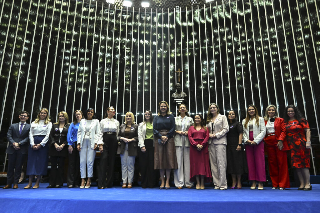 ONU Mulheres participa de sessão temática sobre feminicídio e violência doméstica no Senado Federal/feminicidio 