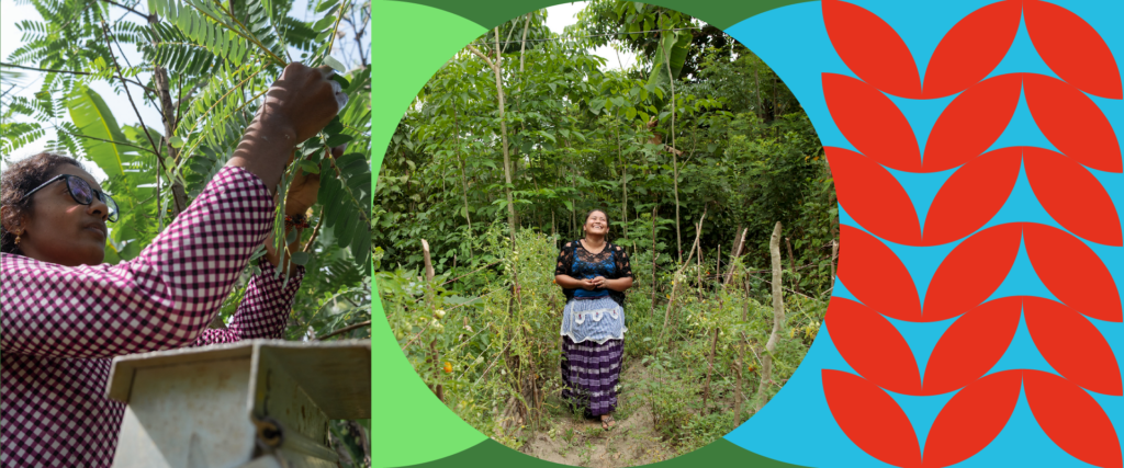 Como a desigualdade de gênero e as mudanças climáticas estão interligadas/justica climatica destaques 